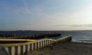 IMAG0777