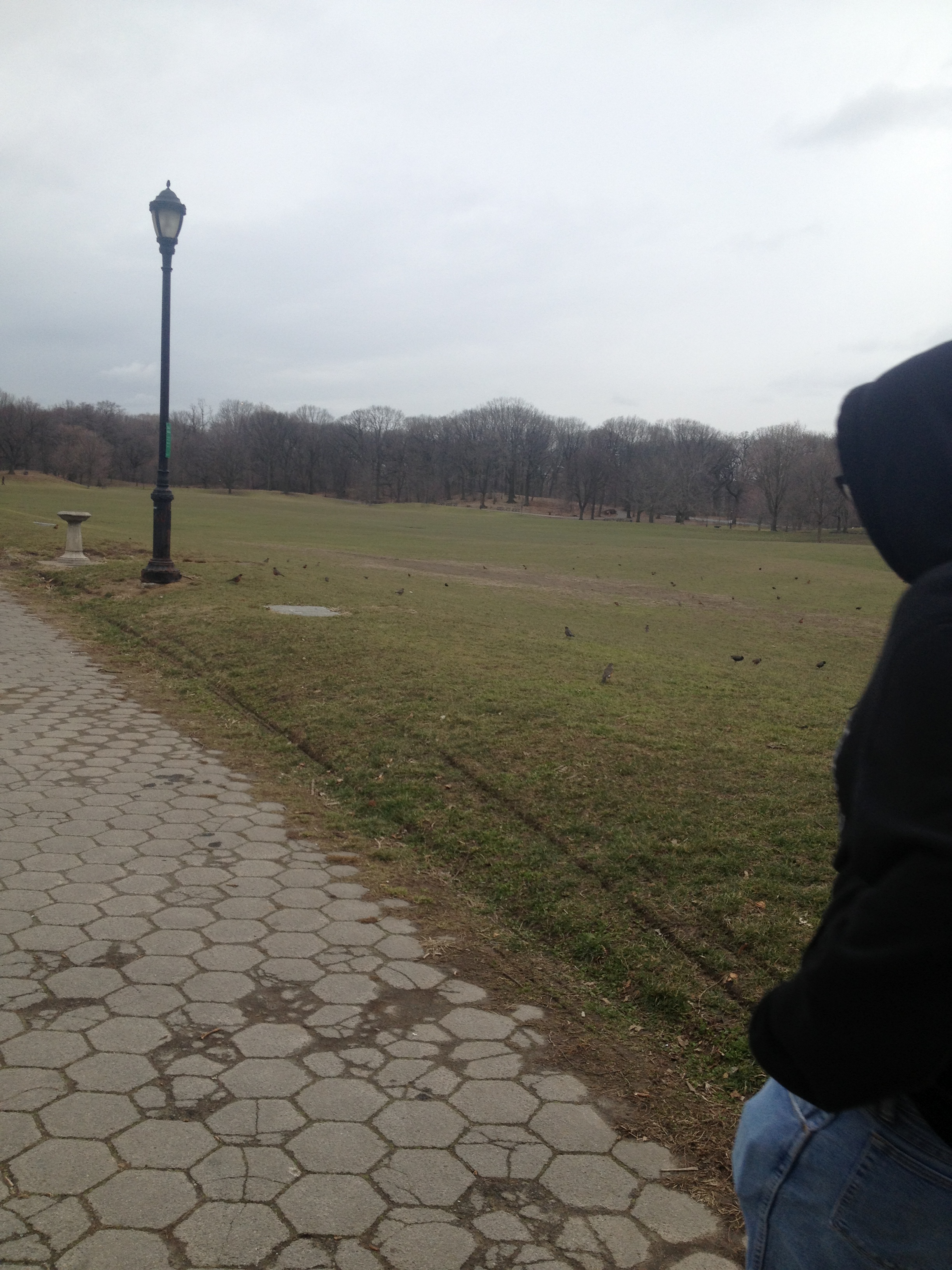 prospect park